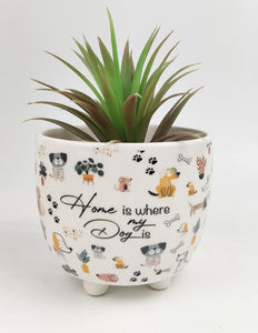 PLANTER HOME IS WHERE MY DOG IS 12x10cm